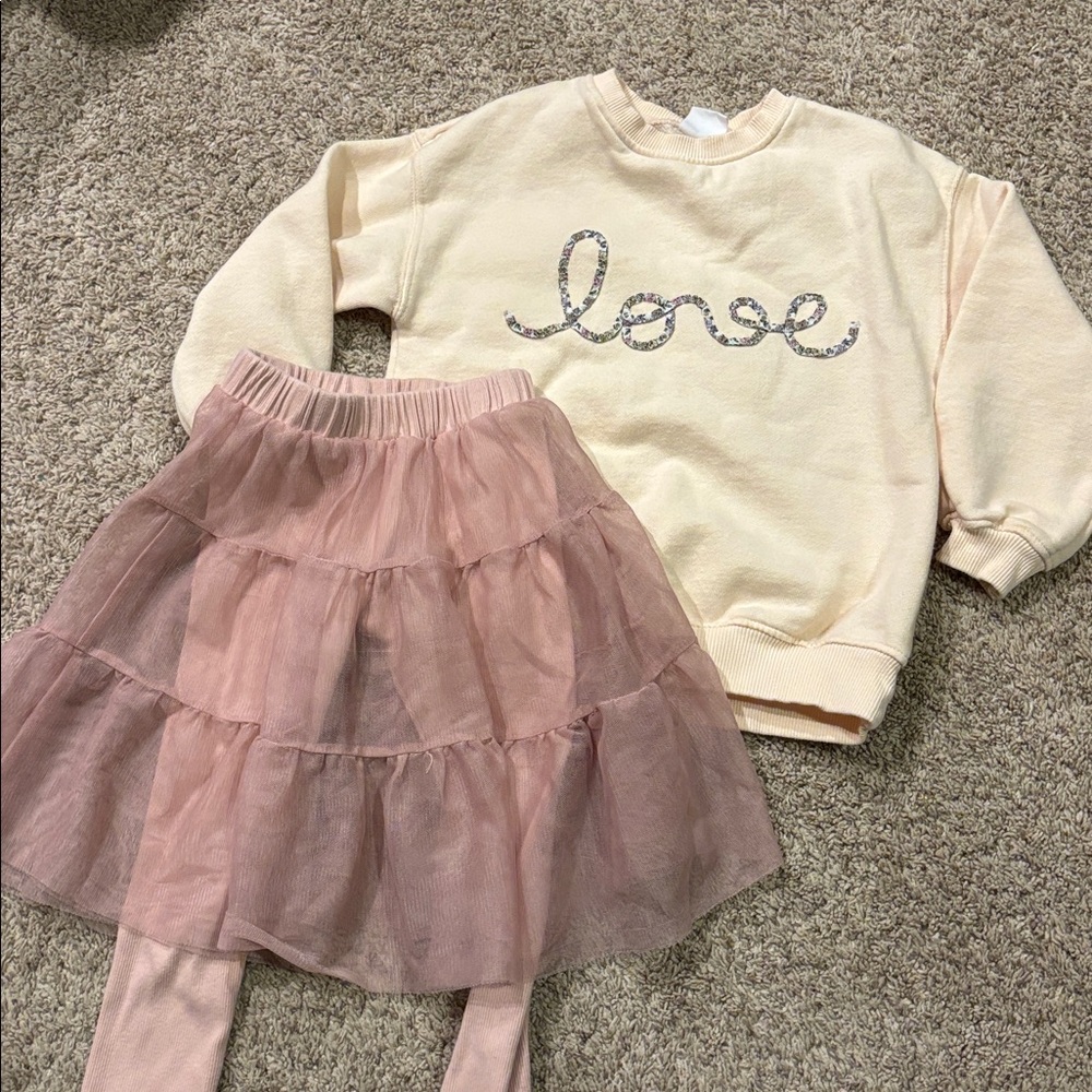 Zara Sweatshirt and Pink Tulle Skirt Set